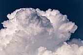 Cumulus congestus cloud