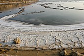 Salt formation at the Dead Sea