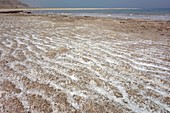 Salt deposits on the shore of the Dead Sea, Israel