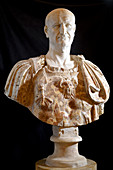 Vespasian, Roman emperor