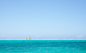 Boats sailing at sea, Zanzibar