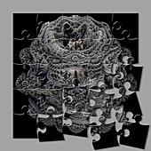 Mandelbulb fractal puzzle, illustration
