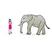 Woman in high heels and elephant, illustration