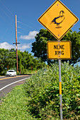 Hawaiian goose crossing sign