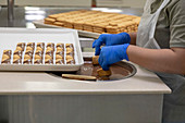 Macadamia nut chocolate-dipped cookie production