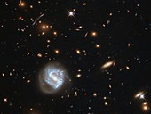 Galaxy cluster SDSS J0333+0651, HST image