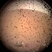 First image from NASA's InSight lander on Mars