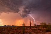 Lightning strike, Arizona, USA