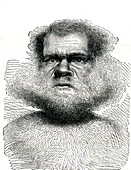 19th Century Tasmanian man, illustration