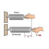 Elastic potential energy, illustration