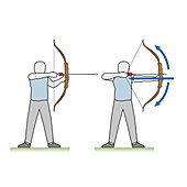 Archer with a longbow, illustration