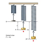 Hooke's law, illustration