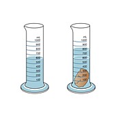 Measuring the volume of an irregular object, illustration