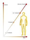 Radiation exposure effects on humans, illustration