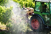 Spreading pesticide on vineyard in Moissac region, France