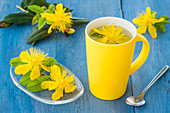 Herbal tea of St John's wort
