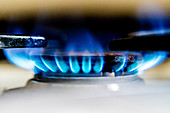 Lit gas rings on a domestic hob