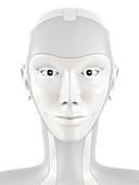 Robotic head, illustration
