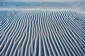 Close-up of a sand dune at sunset