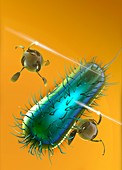 Bacteria and nanobots, illustration