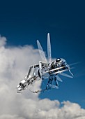 Robotic insect flying, illustration