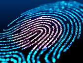Digital fingerprint scanning, illustration