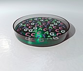 DNA letters in petri dish, illustration