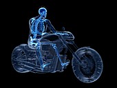 Illustration of a biker's skeleton