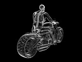 Illustration of a biker's skeleton