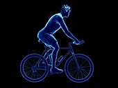 Illustration of a cyclist