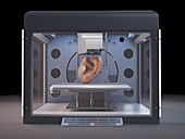 Illustration of a 3d printer printing an ear