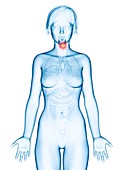 Illustration of larynx cancer