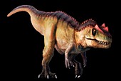 Ceratosaurus, illustration