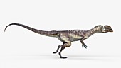 Illustration of a dilophosaurus
