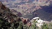 Grand Canyon from South Rim