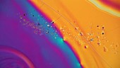 Colours swirling in ethanol, light microscopy footage