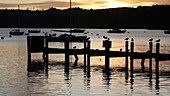 Harbour at sunset