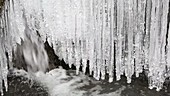 Icicles hanging