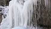 Thick white icicles