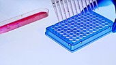 Multi pipette and sample tray