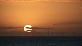 Sunset over windfarm