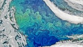 North Atlantic algal bloom, satellite image