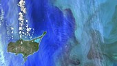 Algal bloom near Alaska, satellite image