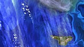 Algal bloom near Alaska, satellite image
