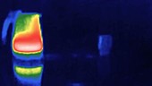 Thermographic image, kettle