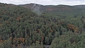 Cloud over autumn forest, aerial
