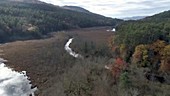 Marshland at Lake George, aerial