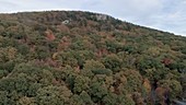 Catskills in autumn, aerial