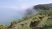 Sea mist over cliffs, timelapse