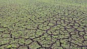 Reservoir in drought